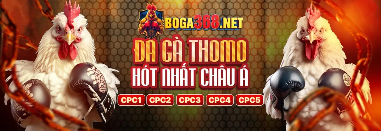 Hình ảnh minh họa chính sách quyền riêng tư của Bom88 Win