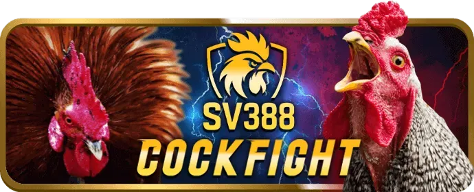 Bảo mật tài khoản người chơi tại Bom88 Win với các biện pháp xác minh nghiêm ngặt
